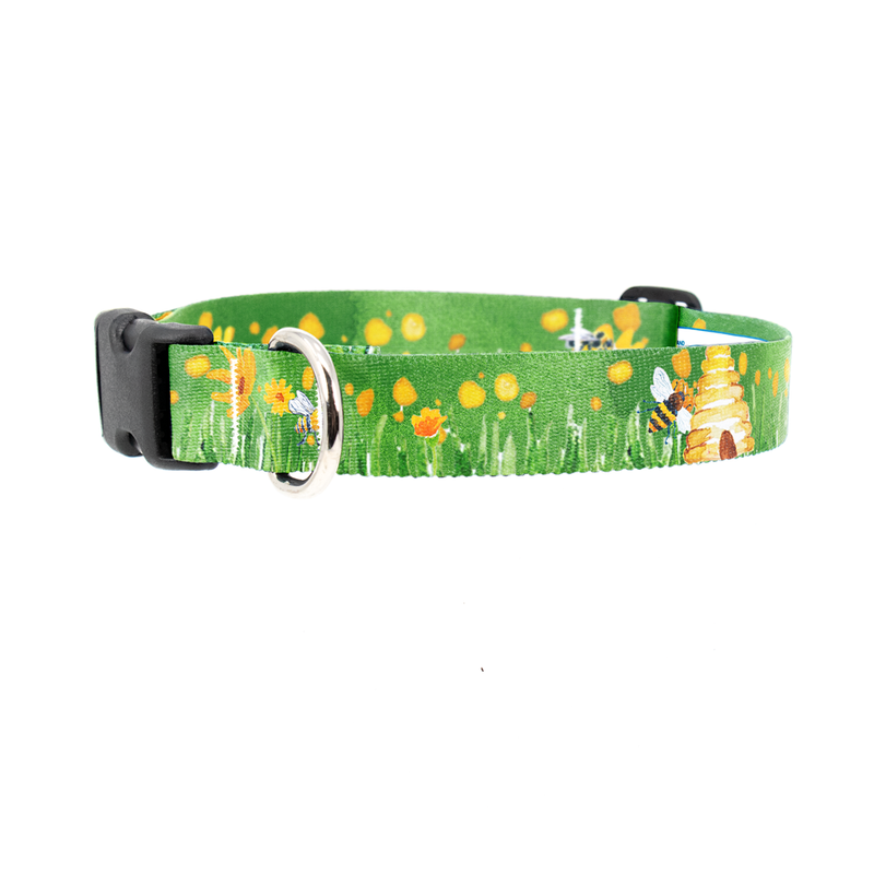 Let It Bee Dog Collar - Made in USA