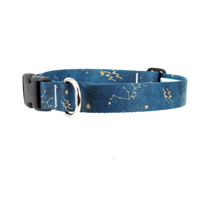 Zodiac Aquarius Dog Collar - Made in USA