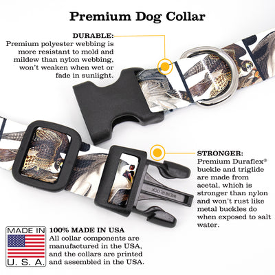 Buttonsmith Audubon Raptors Dog Collar - Made in the USA - Buttonsmith Inc.