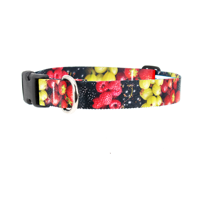 Berry Blast Dog Collar - Made in USA