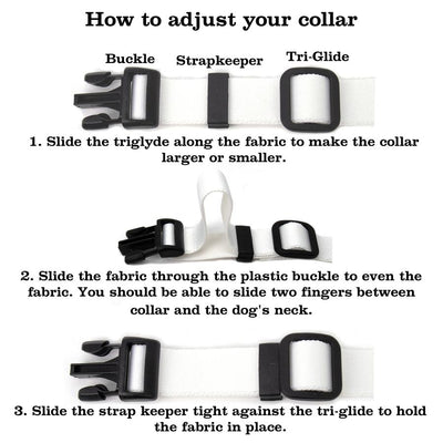 Hologram Dog Collar - Made in USA