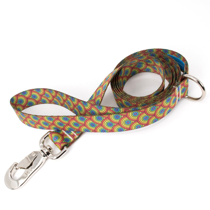 Buttonsmith Rainbow Arches Dog Leash Fadeproof Made in USA - Buttonsmith Inc.