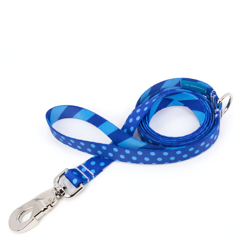 Buttonsmith Blue Dots Dog Leash Fadeproof Made in USA - Buttonsmith Inc.