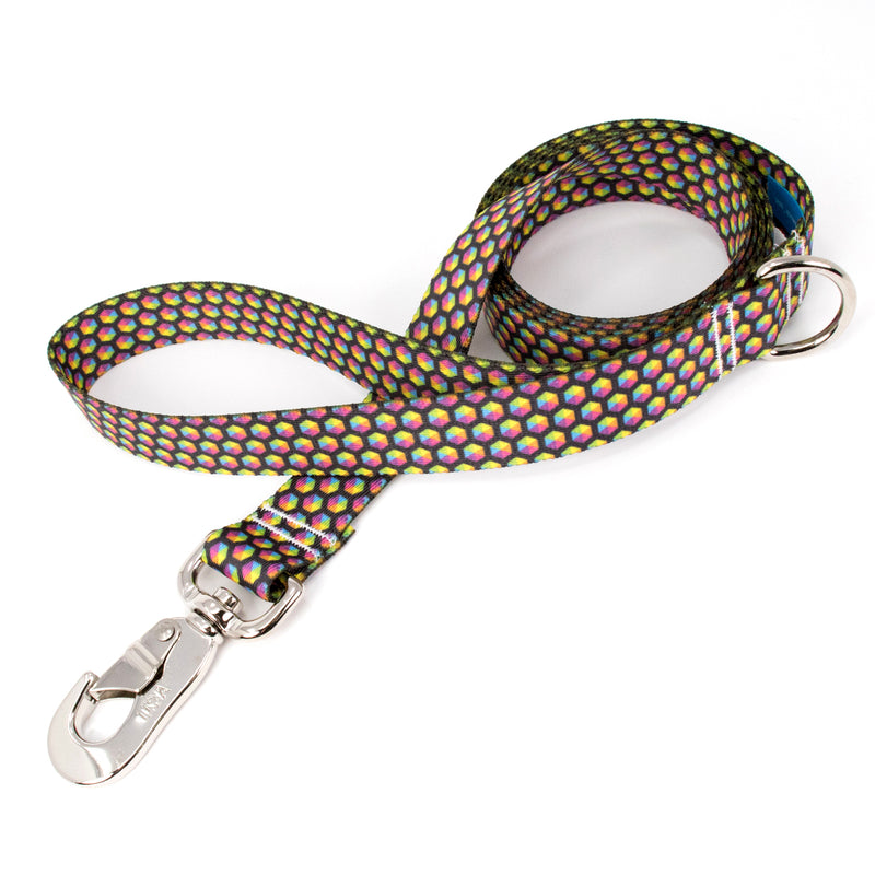 Buttonsmith Rainbow Hexes Dog Leash Fadeproof Made in USA - Buttonsmith Inc.