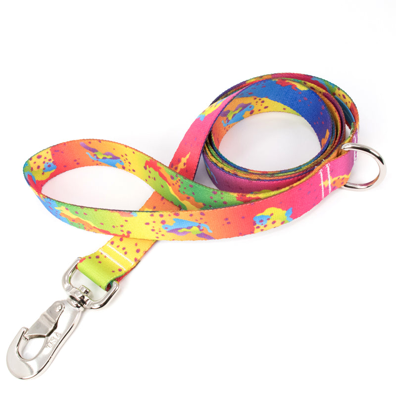 Buttonsmith Rainbow Camo Chip Dog Leash Fadeproof Made in USA - Buttonsmith Inc.