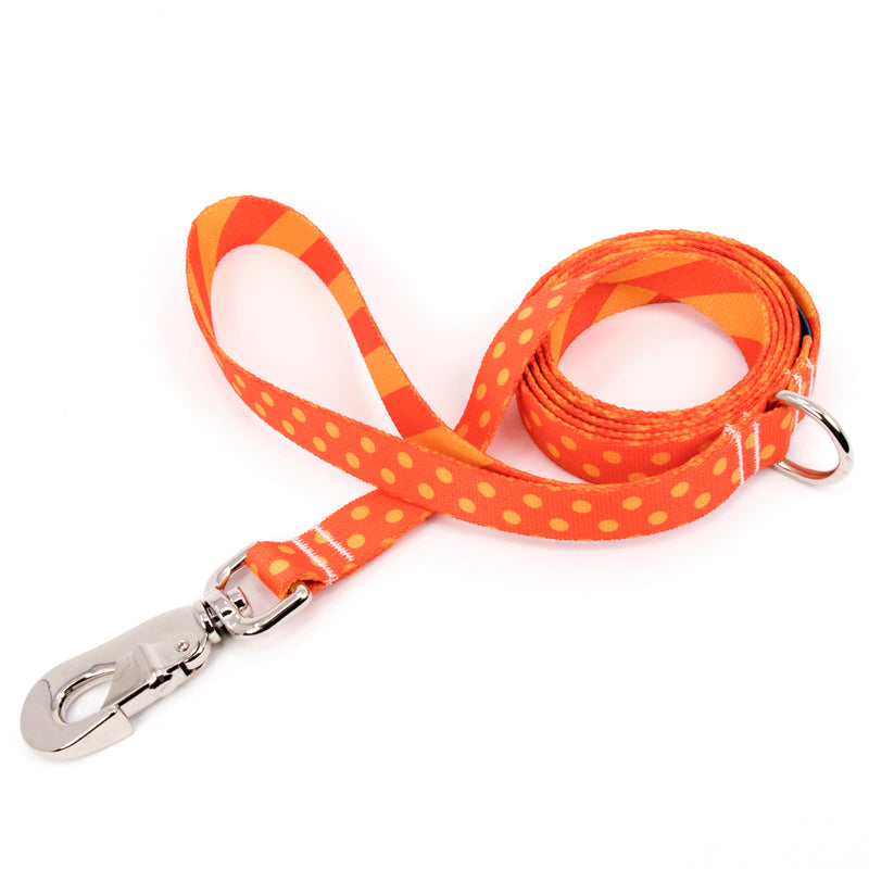 Buttonsmith Orange Dots Dog Leash Fadeproof Made in USA - Buttonsmith Inc.