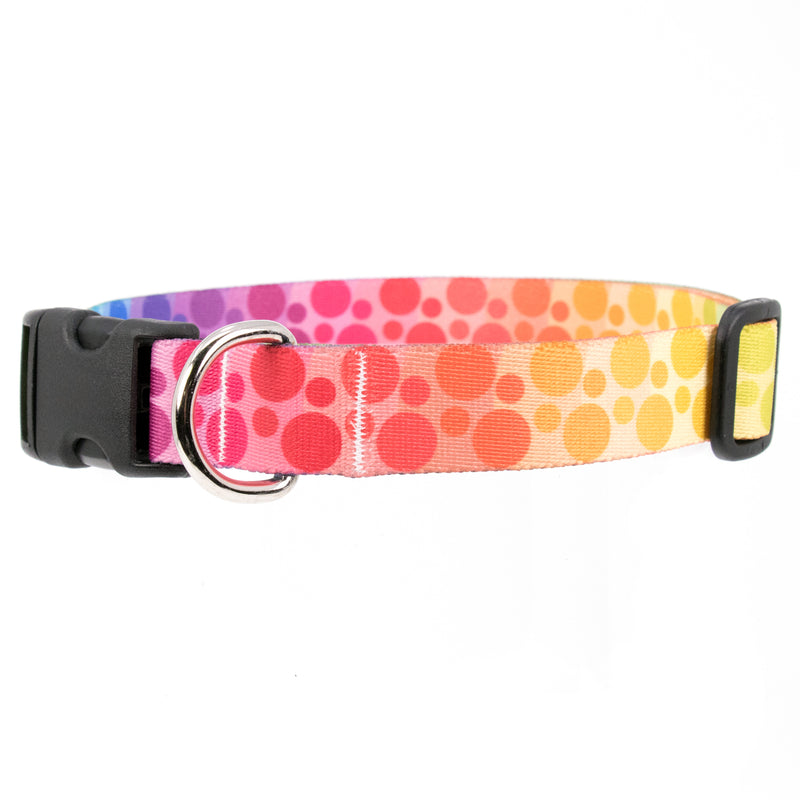 Buttonsmith Rainbow Dots Dog Collar - Made in USA - Buttonsmith Inc.