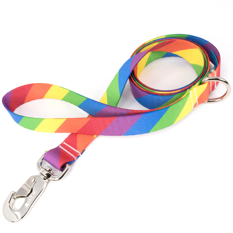 Buttonsmith Rainbow Flag Dog Leash Fadeproof Made in USA - Buttonsmith Inc.
