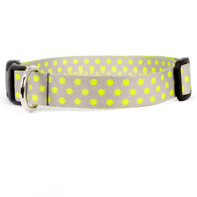 Buttonsmith Pewter Lime Dots Dog Collar - Made in USA - Buttonsmith Inc.