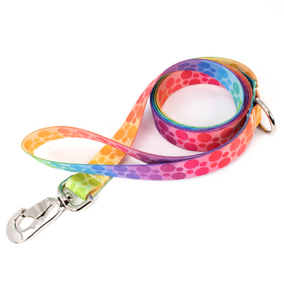 Buttonsmith Rainbow Dots Dog Leash Fadeproof Made in USA - Buttonsmith Inc.
