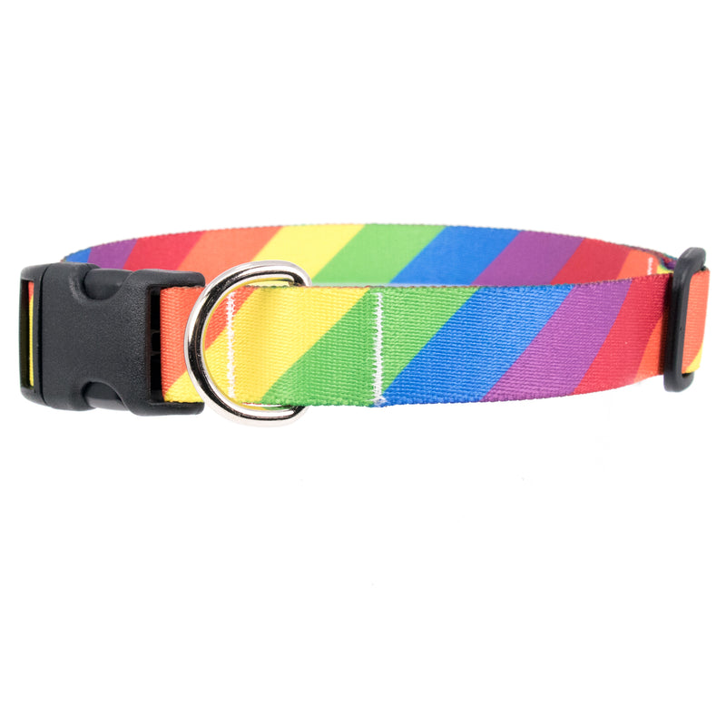 Buttonsmith Rainbow Flag Dog Collar - Made in USA - Buttonsmith Inc.