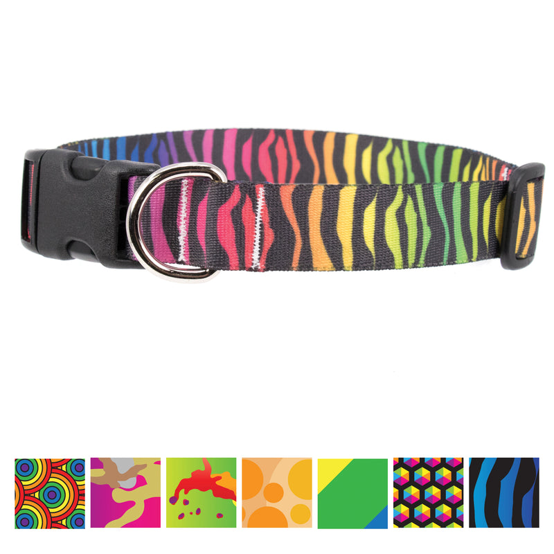 Buttonsmith Rainbow Zebra Dog Collar - Made in USA - Buttonsmith Inc.