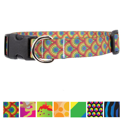 Buttonsmith Rainbow Arches Dog Collar - Made in USA - Buttonsmith Inc.