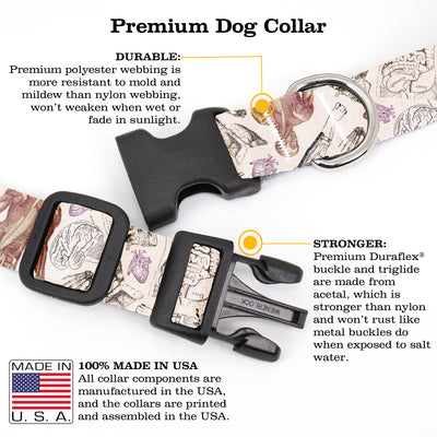 Buttonsmith Anatomy Dog Collar - Made in the USA - Buttonsmith Inc.