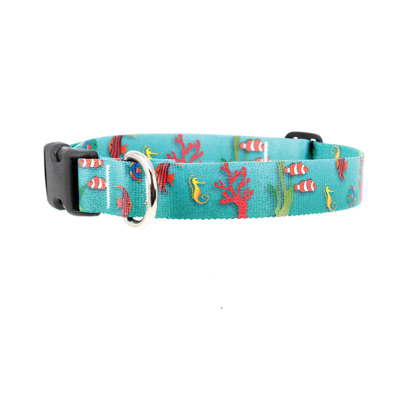 Buttonsmith Tropical Fish Dog Collar - Made in the USA - Buttonsmith Inc.