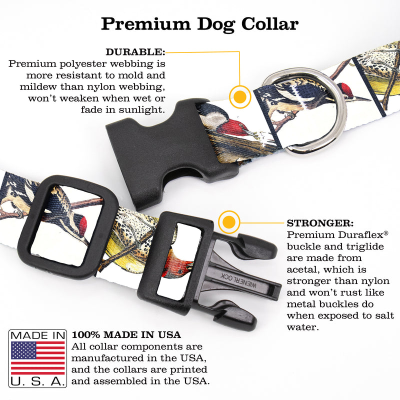 Buttonsmith Audubon Woodpeckers Dog Collar - Made in the USA - Buttonsmith Inc.