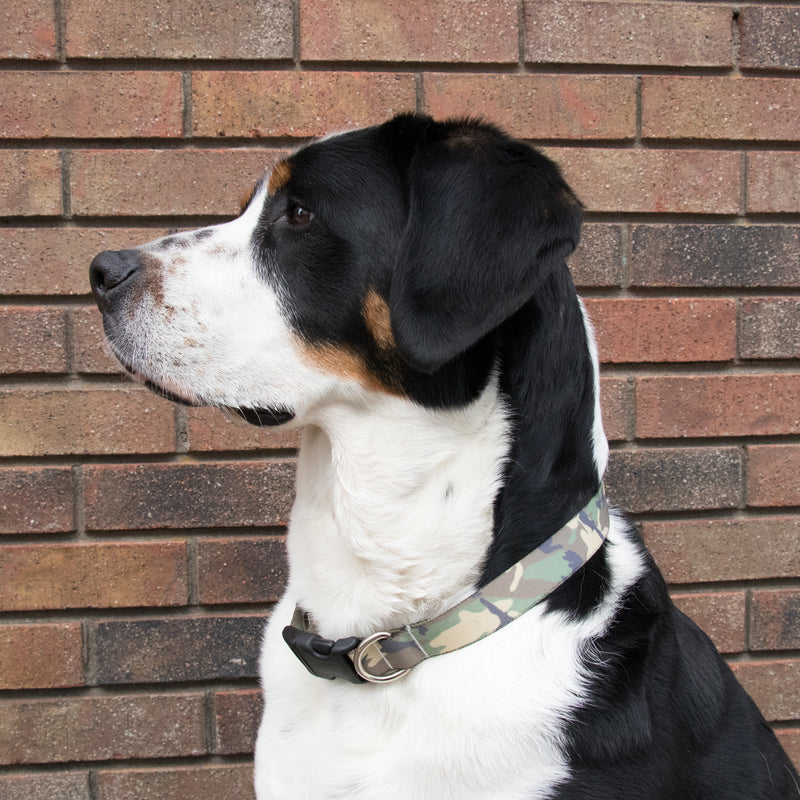 Buttonsmith Woodland Camo Dog Collar - Made in USA - Buttonsmith Inc.